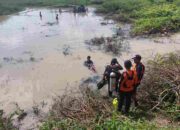 Seorang Warga Gunung Sugih Tenggelam di Embung, Tim SAR Gabungan Lakukan Pencarian