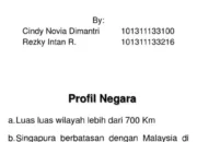 Menguak Rahasia Sistem Asuransi Kesehatan Singapura: Lebih dari Sekadar Kartu