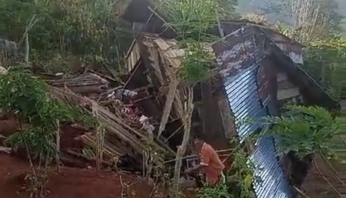 Tim Gabungan Berhasil Giring Kawanan Gajah Kembali ke Hutan, Belasan Rumah Warga Sempat Dirusak
