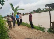 Puluhan Hektar Sawah di Pringsewu Terendam Banjir