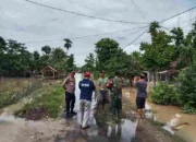Akibat Hujan Deras, Banjir Rendam Beberapa Wilayah di Kabupaten Pringsewu