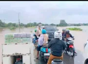 Hujan Deras Guyur Pringsewu, Ratusan Rumah dan Sawah Terendam Banjir
