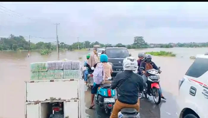 Hujan Deras Guyur Pringsewu, Ratusan Rumah dan Sawah Terendam Banjir