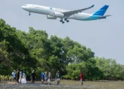 Pesisir Terancam, Mangrove Menjawab: Data Kerusakan dan Aksi Perbaikan 2025