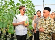 Panen Melon Sultan di Ponpes Istiqomah Al-Amin, Bupati Egi Beri Apresiasi
