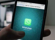 WhatsApp Business API dan NIB Online: Kunci Bisnis Makin Profesional