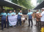 Momentun Idul Adha 1446 H, KAI Daop 8 Surabaya Tebar Ratusan Hewan Qurban Di Wilayah Operasional Perusahaan