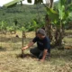 Ancaman Hilangnya Hutan Indonesia, Saatnya Meninjau Ulang Kebijakan Karbon Kita