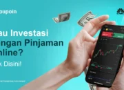 Berinvestasi dengan Dana Pinjaman Online, Apakah Bijak?