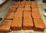 Polda Lampung Gagalkan Penyelundupan 40 Kg Ganja, Kurir Asal Padang Ditangkap