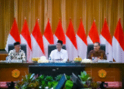 Pemerintah Perketat Impor Etanol dan Singkong, Lampung Sambut Baik Kebijakan Pro-Petani