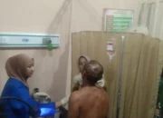 Petani di Lampung Barat Diduga Diterkam Binatang Buas, Alami Luka-Luka